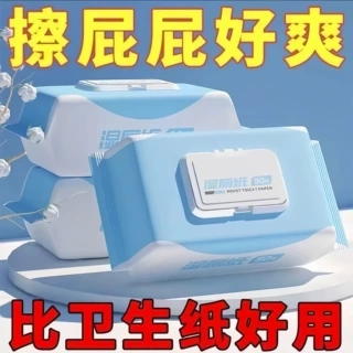 湿厕纸加大加厚独立包装可冲可降解婴儿宝宝擦屁股家用湿手纸湿巾