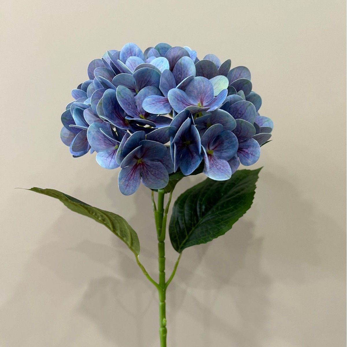 라이트 블루