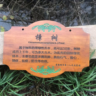 ���ݵ��Ƙ��Ƒ������Ʒ�����ľ�|�ƺ���ֲ����ƑҒ�ʽ����