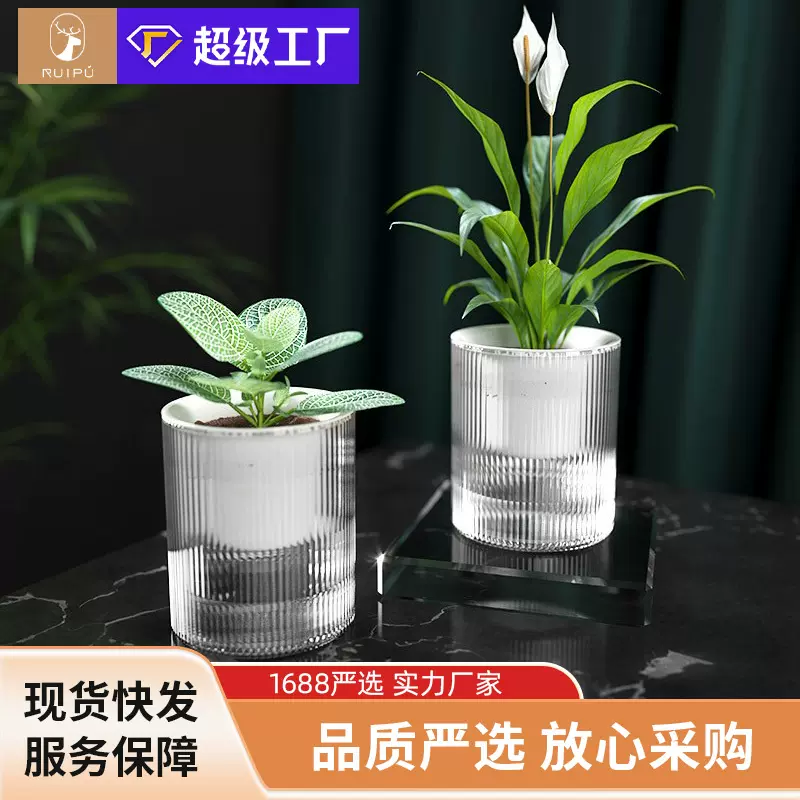 懒人绿萝自动吸水花盆透明塑料水培水养办公室酒店免浇水专用花盆