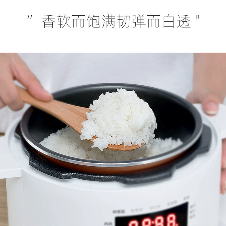 Универсальная японская умная рисоварка, 110В