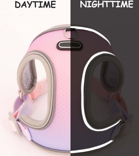 Pet clothing leash, outdoor dog harness, dog leash, half pack of cat leash, can be added as standard