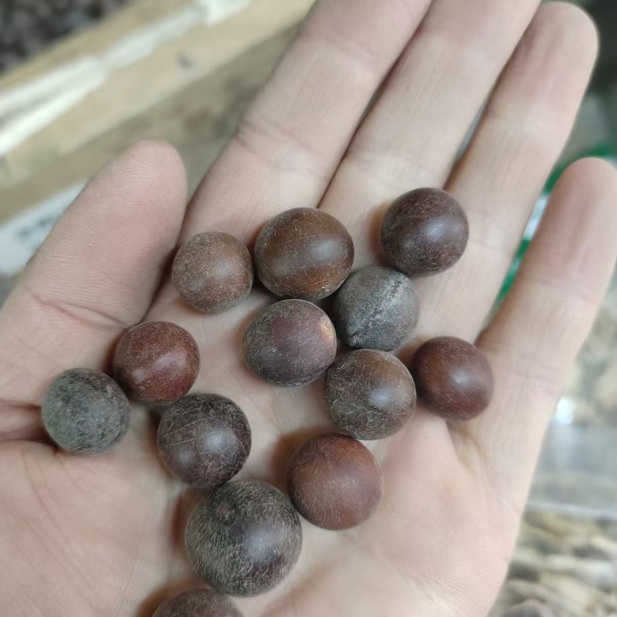 Sun Fruit (Tai Yang Guo) — Dried Food Herb for Cooking & Herbal Soups, 500g in use