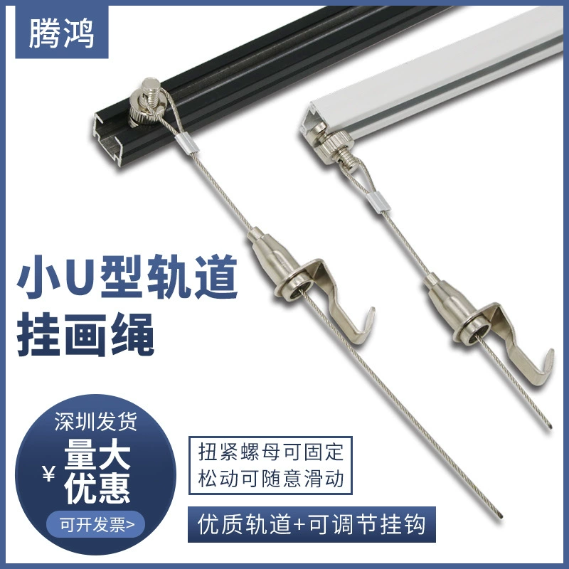 Подвесная Живопись Направляющая Галерея Выставка Подвесное Устройство Живописи Утолщенное Подвесное Устройство Живописи Висит Зеркальная Линия Встроенный Дисплей Следа Краски