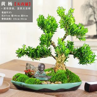 �S���Ϙ��辰����ȸ�ఙƤ����С�~���ԾGֲ�҃ȿ͏d���B�䘶ֲ��