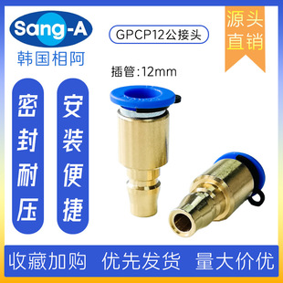 GPCP12 PCP12��幫���^ �ఢSANG-A��幫���^ ��A��幫���^