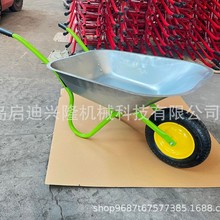 ֱ԰ƳƳũ wb6203 ֳСƳwb6204