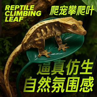 �޽������~�䗫�����Ҹ��CR���،m���ָ׷����쾰�Ѡ����ܶ��