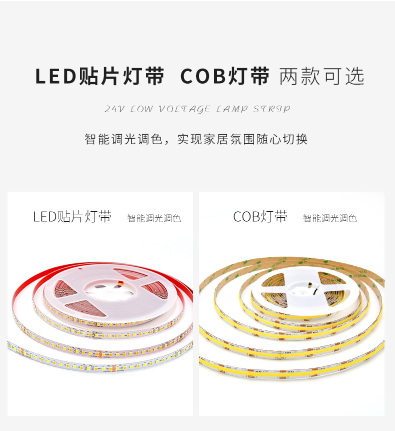 双色灯带详情 (1).jpg