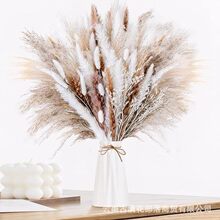 �W�����R�d�羳��Ȼ�ɻ������������JȔ�є[���JȔ����˹��ϏS��