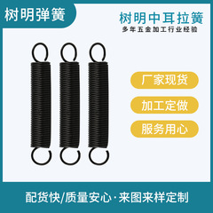304ステンレス鋼引張ばね中耳円筒形ダブルフック機械多機能機械部品ねじりばね卸売