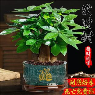 �lؔ��С���Դ�Gֲ�k���҃ȳ���ȩ���ܿ͏d���B��լֲ�������辰