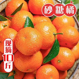 �Fժɰ��������V���������r10��С�۽��ӽ���ɳ�ǽ۟o�ё���ˮ��