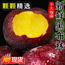 黄肉黑布林李子5斤新鲜水果应当季脆李黑金刚恐龙蛋蜂糖大果整箱3