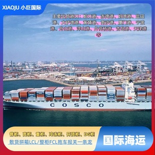 ���ȁ��R���_�����߼{�������\���\�p��������TDDPƴ������؛��