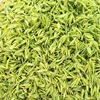 White tea Tea 2021 newly picked and processed tea leaves White tea Spring Green Tea Super White tea Canned 500 gram