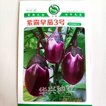 �����N�I�ϰ�����3̖���ӷN�� �s������A�t�ѿ����͟��ͺ��� 5��