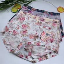 ����31301��ѝŮ����ܛ���z�H�w͸��ʯīϩ���d�и�����ѝ���l