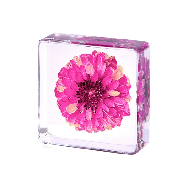 3.8cm small square Matisse Daisy