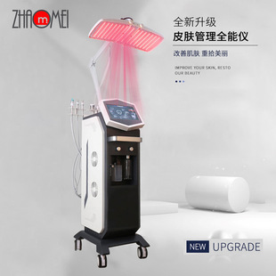 Water Oxygen Instrument Oxygen Injection Instrument Acne Removal Hydration Large and Small Bubble Skin Management Comprehensive Instrument Pdt Red and Blue Light Photodynamic