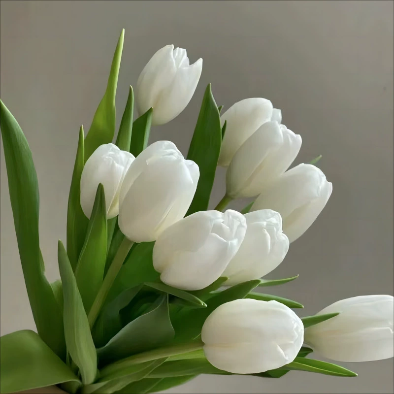 Тюльпан настоящие цветы свежие цветы Юньнань прямая доставка цветочный магазин домой День святого Валентина День матери свежие цветы оптом дропшиппинг