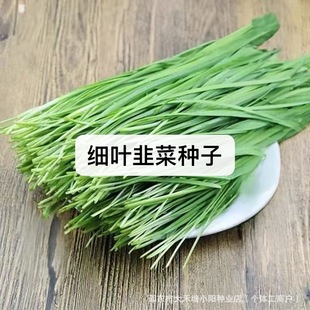 ���~�²˷N�Ӹ߮aС���~�׸��²��ﶬ��ͥԺ�̨���Դ����߲˷N��