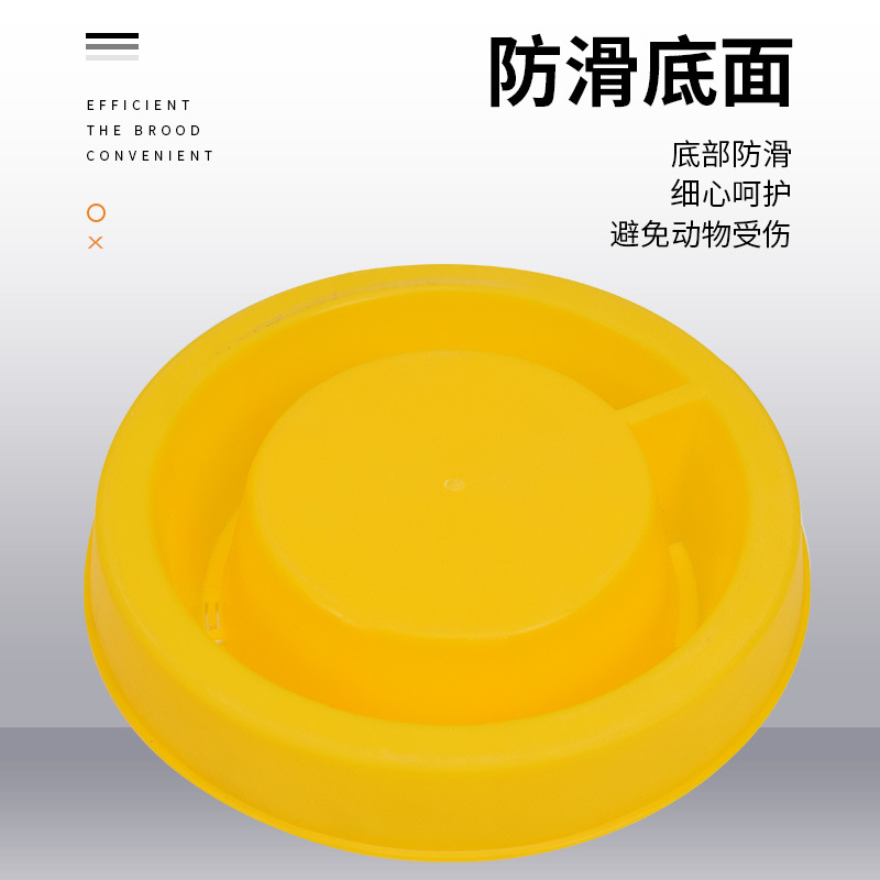 Dispensador de agua automático para patos pequeños, dispensador de agua de pollo para pollos, dispensador de agua automático para pollos, hervidor de agua para pollos