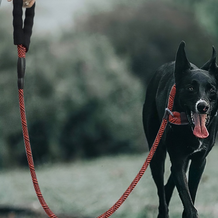Amazon correa para mascotas anti-explosión P cadena correa de perro mediana y grande correa de perro P cuerda anti-rotura correa de perro