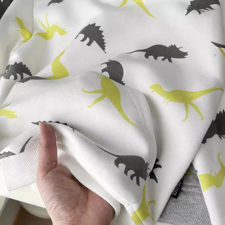 Children's Spring 2024 Printed Cartoon Hooded Sweatshirt for Boys, Unisex, Loose Fit, Korean Style, Wholesale