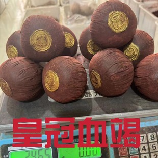 Ѫ����Ѫ��֧�֙z�y �ʹ�Ѫ�� ���lѪ�� һ��؛Դ ���l����