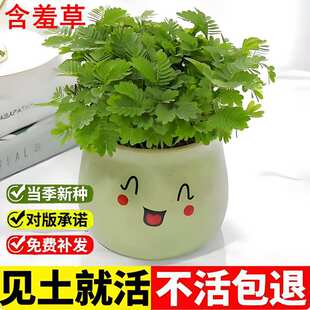 ���߲ݷN�Ӻ��߲ݸБ���������@���@�҃��̨����Ȥֲ��N�ьI