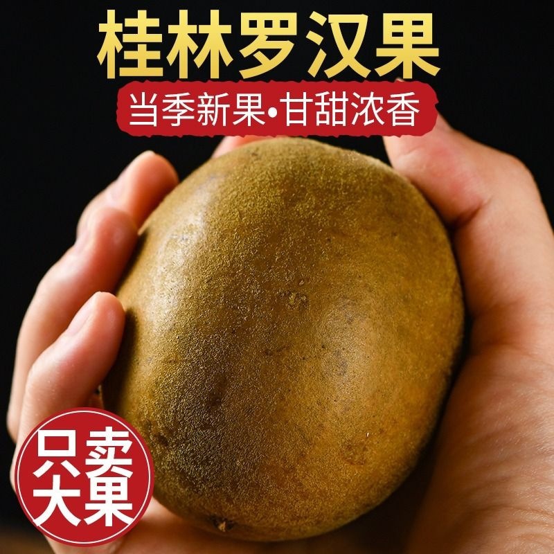 罗汉果干果中药材大果正品旗舰店广西特产干货鲜桂林罗汉果茶泡水