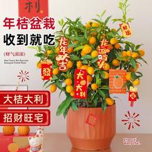 ��ۘ����Կ�ʳ�Î�����Ƥ�ļ������҃��⻨�ܾGֲ�����͏d���