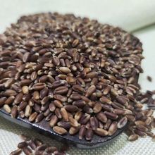 当季新货黑小麦带皮黑小麦粒批发 黑麦 食用五谷杂粮散装一件代发