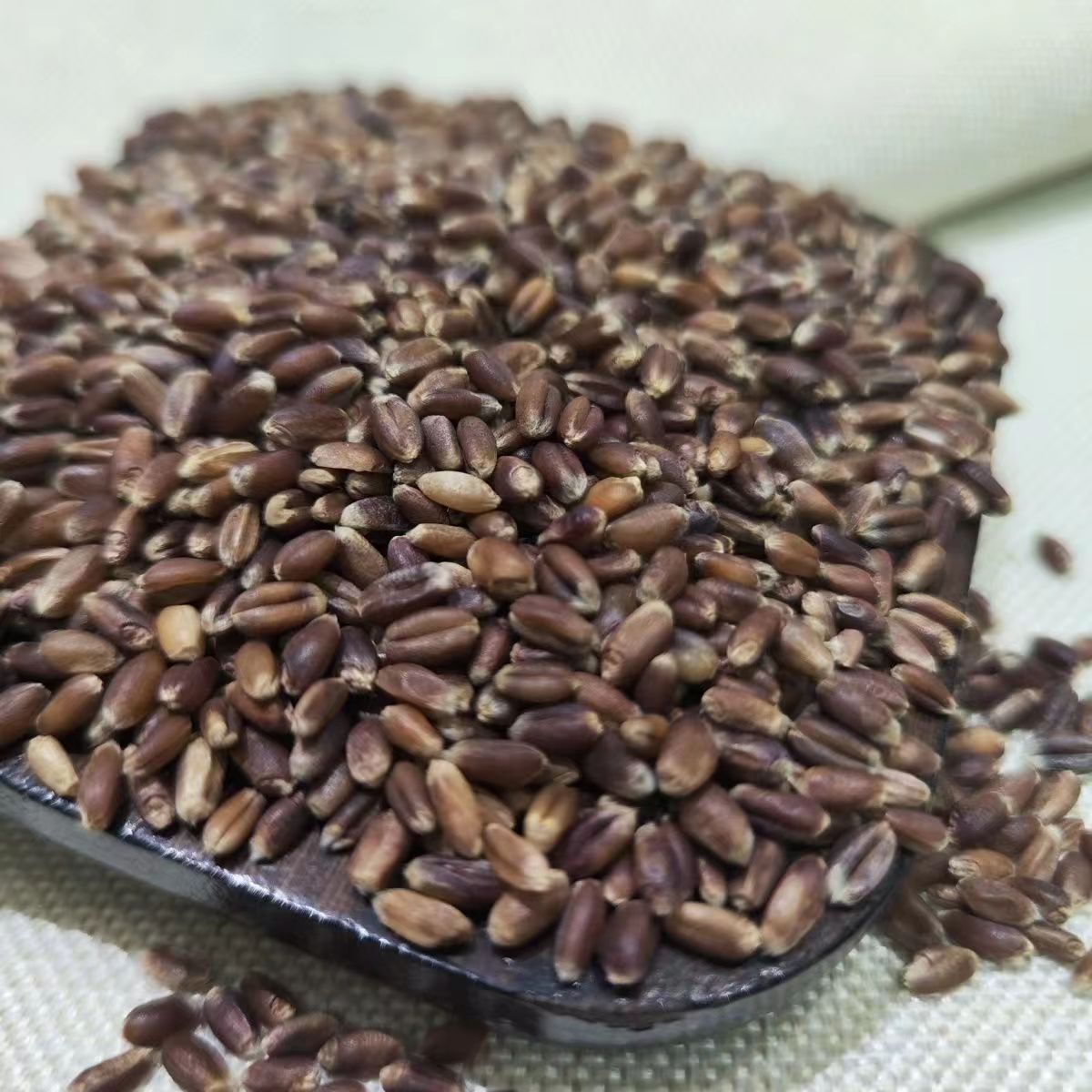 当季新货黑小麦带皮黑小麦粒批发 黑麦 食用五谷杂粮散装一件代发