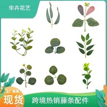 �S�����l����Gֲ�����ȼ����~�b��滨�ֹ�����Gֲˮ�����