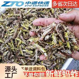 ll���rΛ�ƻ��ك���ըΛ�ƻ��xʳ�����x�����ك����ѻ��ȥ��