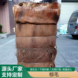 仿真绿植;仿真枝叶和树;仿真蕨类