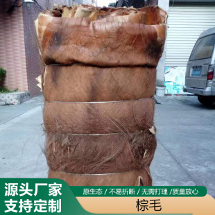 �����ؙ������������ë �҃���ֲ��پGֲ�b�������Ƥ���l