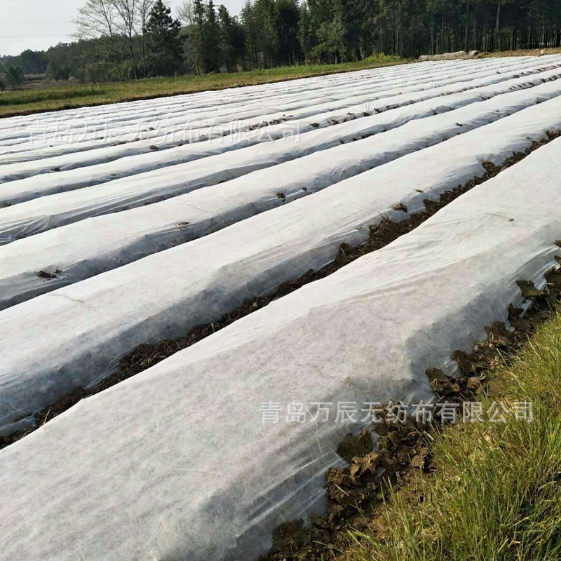 Foreign trade export agricultural non-woven fabric pp spunbond non-woven fabric Agricultural Planting cover soil cloth dust and grass-proof non-woven fabric