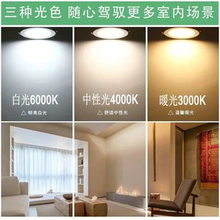 Led Recessed Ceiling Light 8cm 4-Inch 12W Hole Light for Home Living Room Shop Commercial Downlight