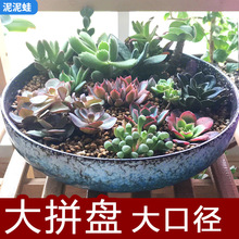 ⻨\մɴ͸ˮ̖ڏƴPNyAGֲ΢^