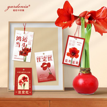 피tϞrBoʾƴyD÷b