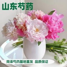 ɽ|șrлͥ廨ĵذșrʝֱlٺrл