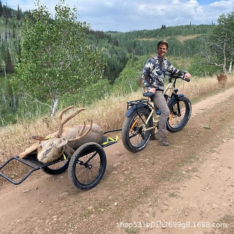 Bicicleta asistida eléctrica Phoenix, bicicleta eléctrica para adultos para hombres, ciclomotor de batería de litio, bicicleta de montaña asistida eléctrica de cercanías para mujeres