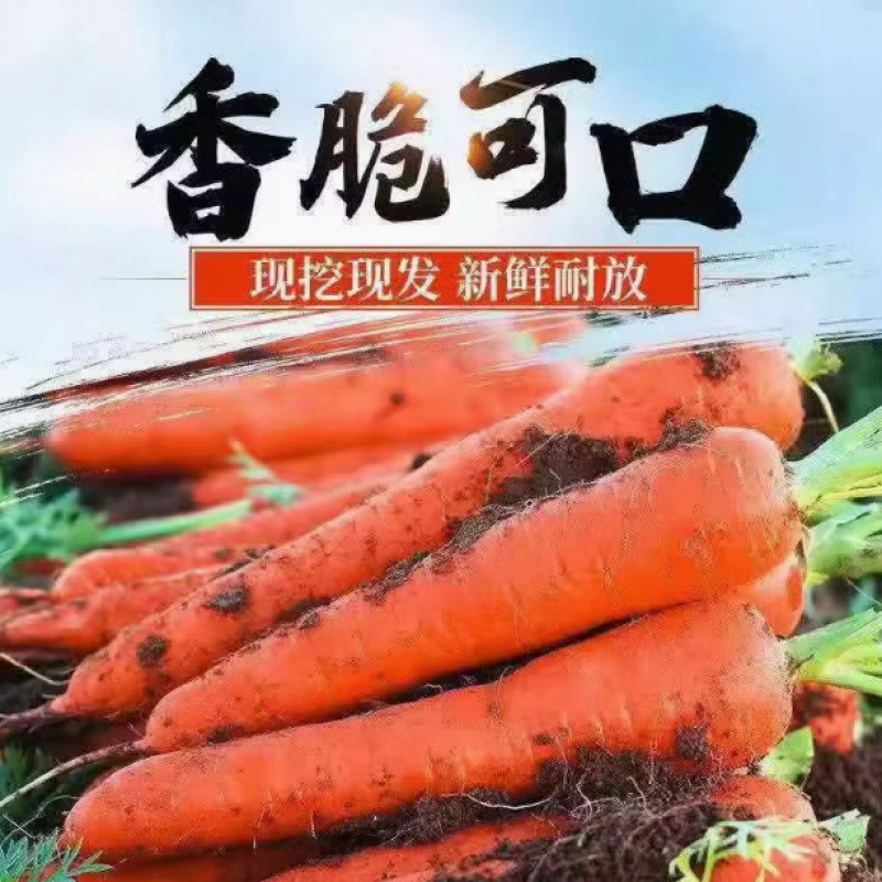 Carrots 5kg Whole Box of Sandy Carrots Fresh Vegetables Crispy Sweet Refreshing with Mud Wholesale Farm Freshly Dug Carrots