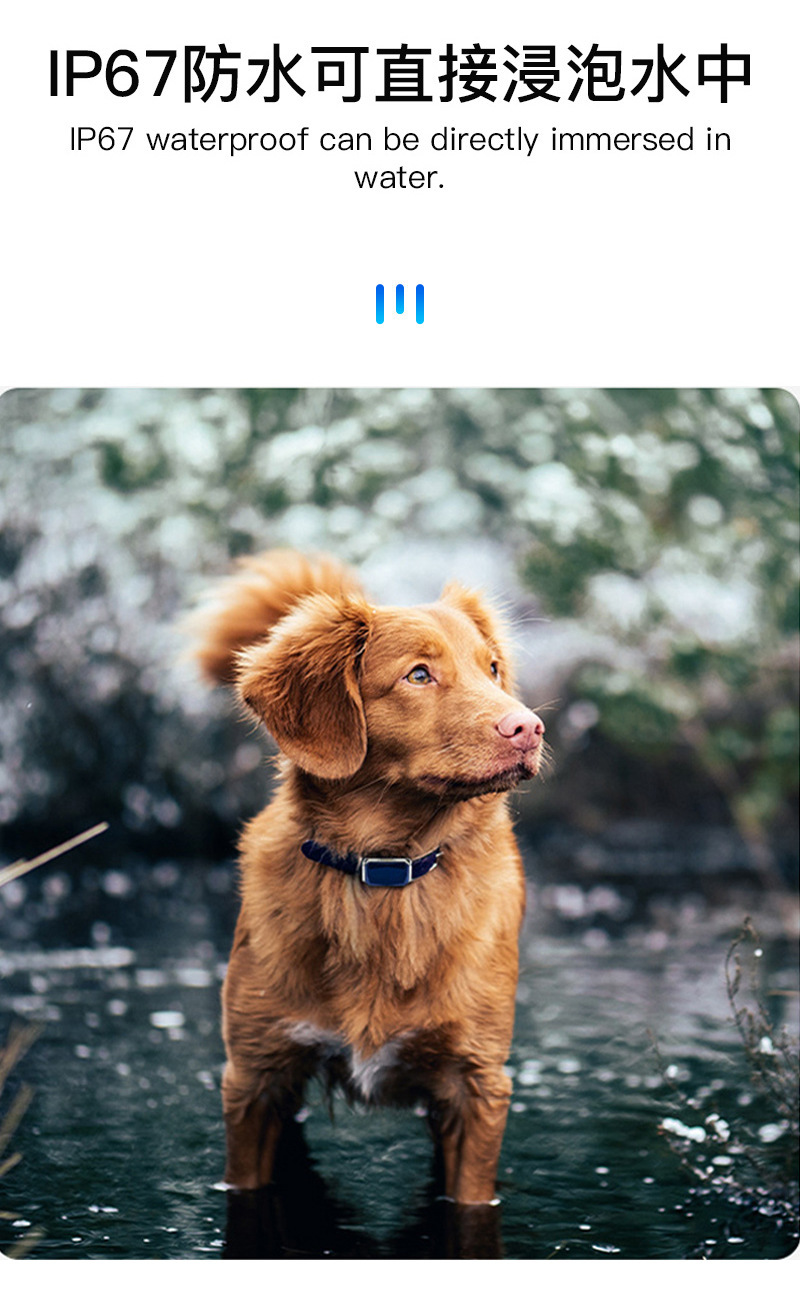 G12 Wearable Waterproof Pet Cat and Dog Gps Locator for the Elderly and Children Anti-Lost Smart Collar Alarm Tracker