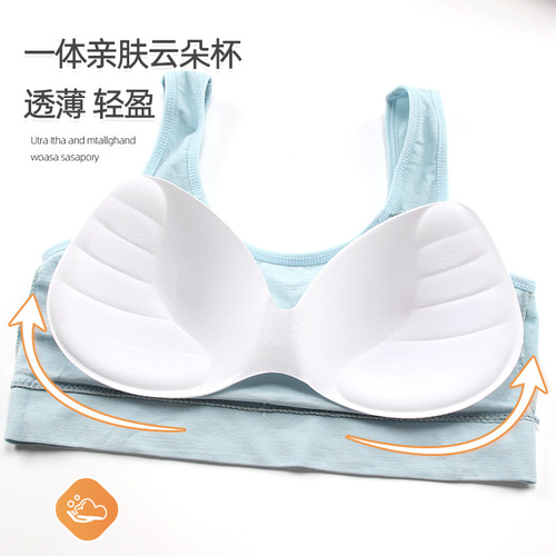 Seamless breast-wrapping sling with inner padded vest sports bra for women beauty back bra push-up small breasts wholesale tube top