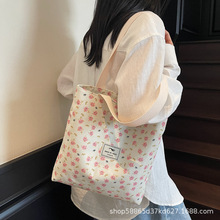 时尚大容量小众单肩包女2025新款ins帆布包托特上课手提包通勤包