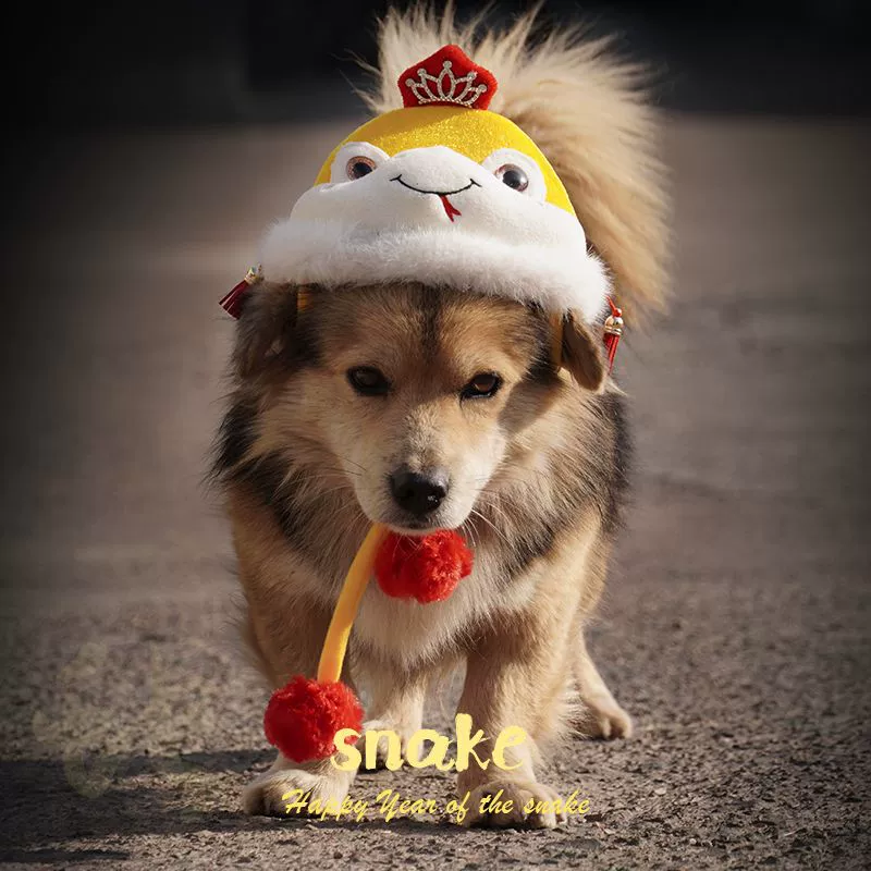 Ji Zai Cat Dog универсальная теплая плюшевая новогодняя шапка праздничная милая маленькая змея шляпа домашнее животное праздничное платье